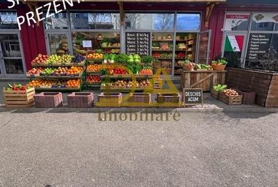 Spațiu comercial, de 100 mp, în Valea Oltului - 8