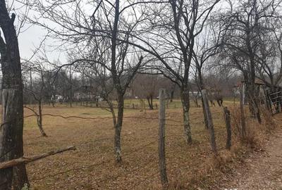 Teren de 2911 mp, în Brebu - 6