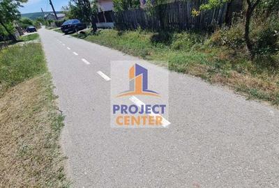 Casă cu 3 camere cu Teren 4525 Mp în Băbana - 8