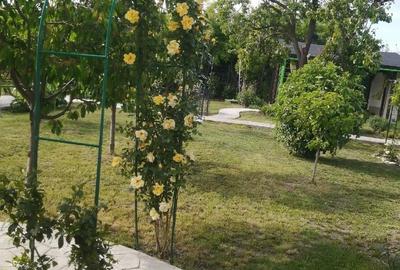 Casă cu Teren 1457 Mp în Rudna - 2