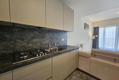 Apartament cu doua camere de inchiriat in Bellevue Residence - 25