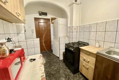 PRIVELI?TE SPRE CENTRUL TIMI?OAREI | Apartament 2 camere-Gheorghe Lazar | OFERTA - 11