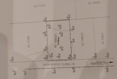 Vladiceasca, Snagov - 13