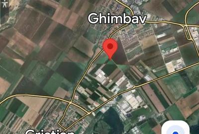 Teren de 18500 mp, în Cristian - 8