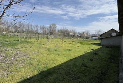 Casă cu 3 camere cu Teren 3000 Mp în Rasa - 3