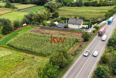 Teren Intravilan de 2451 MP - Bunesti, Suceava - 2