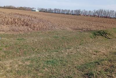 Spațiu comercial, în Apa