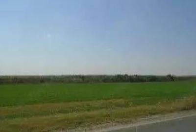 Teren cota parte 1/6, Branistea, ID: R2757177 - 3