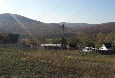 Teren de 1500 mp, în Telița - 2