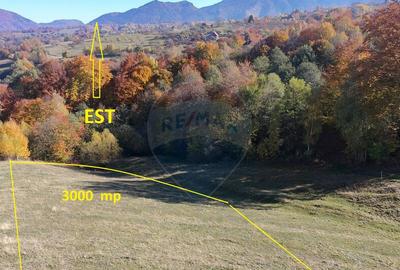 Teren valoros 2,000mp BRAN/Utilitati/Pensiune/Priveliste ... - 3