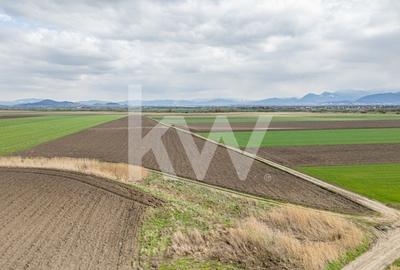 Teren de vanzare – Ghimbav, Brasov | 9.400 mp - 3