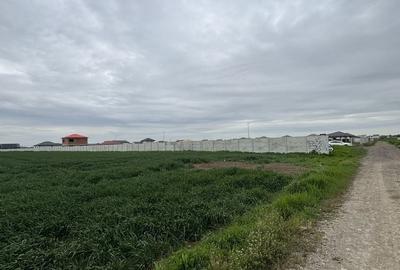 Spațiu comercial, în Popești-Leordeni - 3