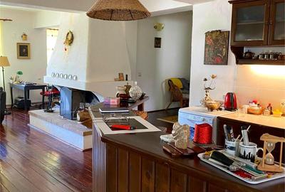 Casa  P+M, cu teren de 9721 mp - 3