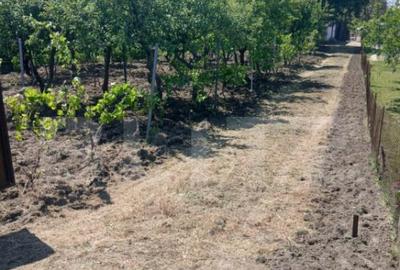 Casă cu 2 camere cu Teren 799 Mp în Central - 11