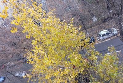 Garsoniera | Panduri | Balcon | 41mp - 6