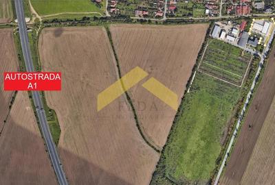 Showroom + hala | 5,100 mp teren Aradul Nou - 3