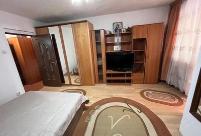 Garsonieră semidecomandată în Brazda lui Novac - 2