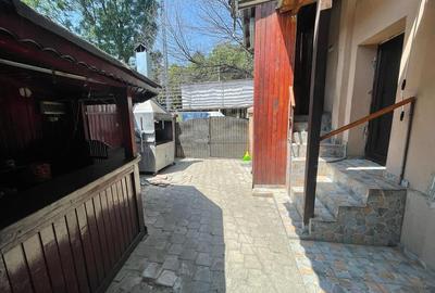 Casa individuala Brancoveanu- Nitu Vasile-INVESTITIE - 16