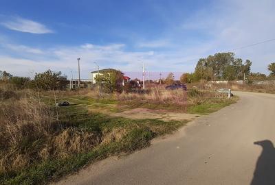 Teren la Asfalt cu utilitati alaturi (Curent & Gaz) langa Bucuresti - 6