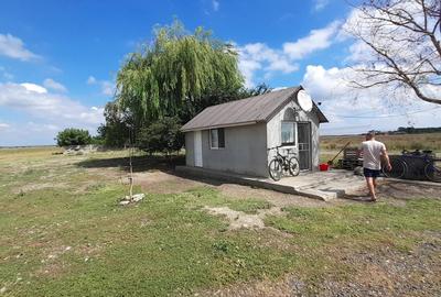 Surdila-Gaiseanca, Braila - 9