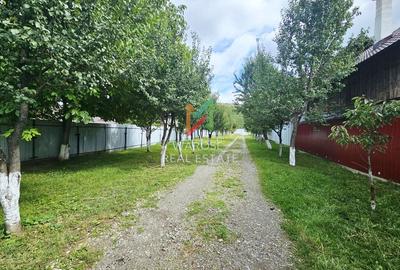 Teren 2000 | Casa | Foisor | Livada | Zizin | Brasov - 2