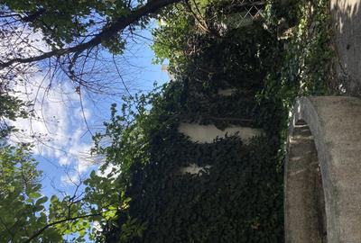 Casa Teren Ultracentrala, cu poten?ial investi?ional, Calea Victoriei - 9