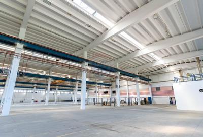Spațiu industrial, de 20,569 mp, în Central - 15