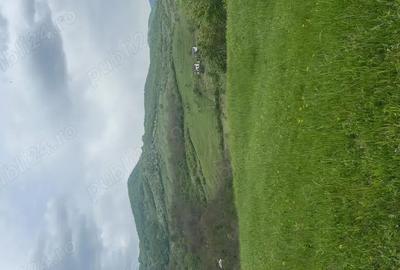 Vand teren extravilan - 2