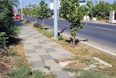 Teren de 5000 mp, în Central