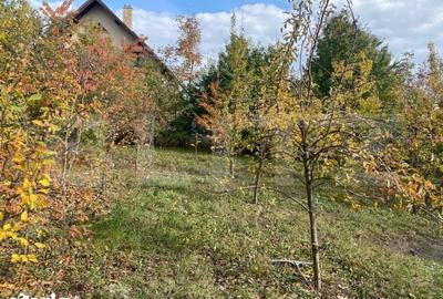 Spațiu comercial, de 400 mp, în Ipotești - 12