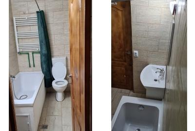 Casă individuală cu 2 camere cu Teren 1500 Mp în Paleu - 4