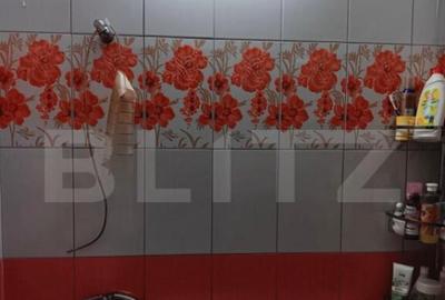 Apartament 3 camere, 77 mp, parter, 2 pivni?e Sangeorg - 3