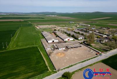 Teren agricol intravilan de 11532 mp, în Mihail Kogălniceanu - 2