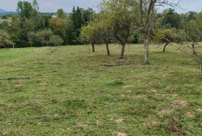 Casă în Vârfurile - 4