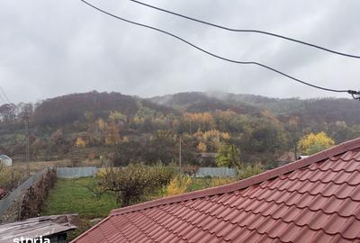 Casă cu 6 camere cu Teren 5600 Mp în Golești - 2