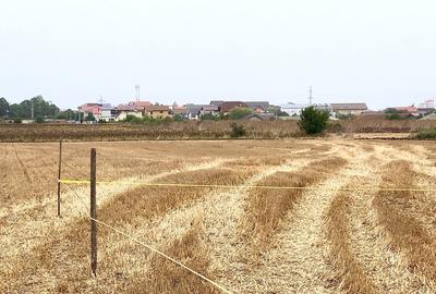 Teren de 400 mp, în Exterior Vest - 4