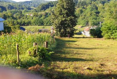 Teren de 7000 mp, în Ștubeie Tisa - 7