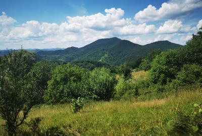 Teren de 42500 mp, în Barbura - 1