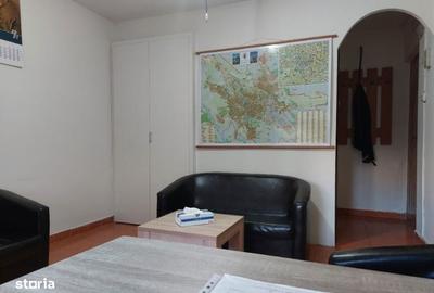 Spațiu comercial, de 20 mp, în Brazda lui Novac - 3