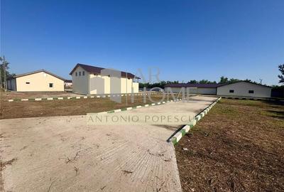 Ansamblu format din teren, platforma betonata si hale industriale, in Brazi, jud - 1