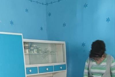 Casă cu 4 camere în Hodiș - 1