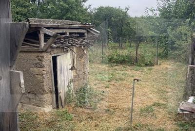Casă cu 4 camere în Băiceni