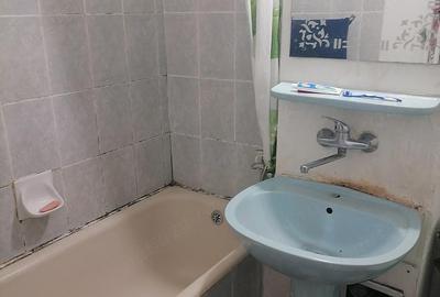 Garsonieră semidecomandată în Precista - 4