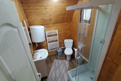 Casă cu 2 camere în Brădățel - 10