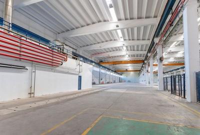 Spațiu industrial, de 20,569 mp, în Central - 13