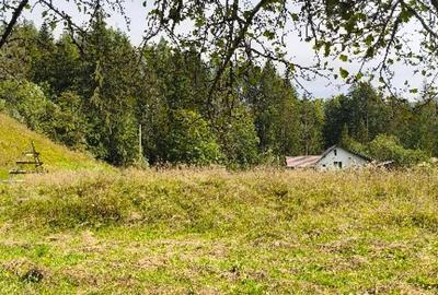 Teren de 4080 mp, în Valea Doftanei - 8