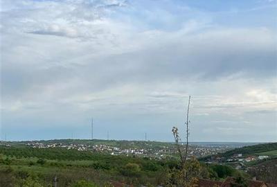 RECO Teren intravilan in  Saldabagiu de munte 985mp - 3