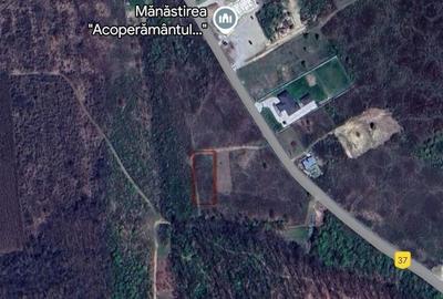 Teren de 650 mp, în Paleu - 2