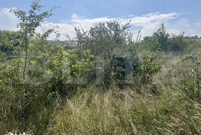 Teren de 1400 mp, în Central