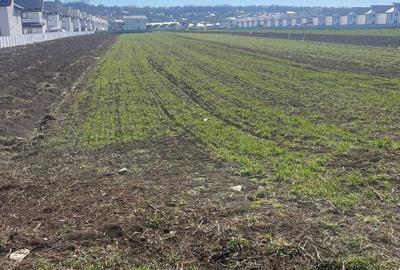 Spațiu comercial, în Șcheia - 3